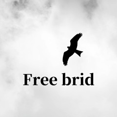 Free Brid