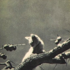 Lost & Found (Ft. ROCHNGTHEWRLD)