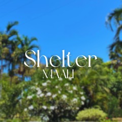 maali - Shelter