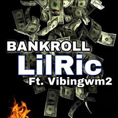 LilRic x Vibingwm2 Bankroll