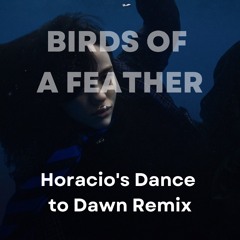 Billie Eilish - Birds Of A Feather (Horacio's Dance Til Dawn Remix)