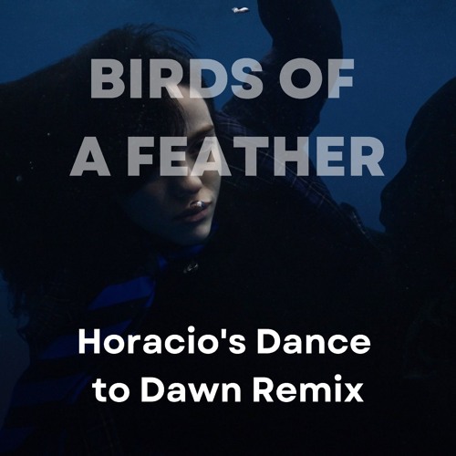 Billie Eilish - Birds Of A Feather (Horacio's Dance Til Dawn Remix)