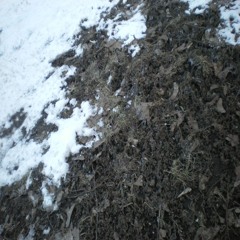 серебро (п. allway$Dexd.)