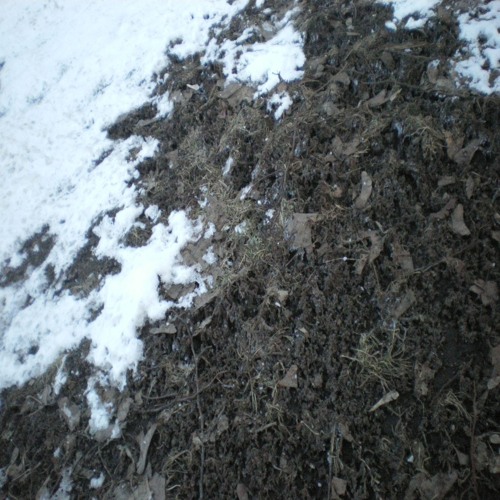 серебро (п. allway$Dexd.)