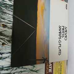 JICO MORITA M44G 渡辺貞夫