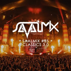 SAALMIX #28 - THIS IS RAW 8.0
