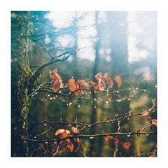 pomme - les séquoias (cover)