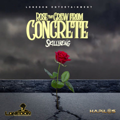 Rose That Grew from Concrete