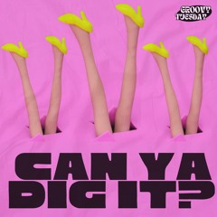 Groovy Tuesday - Can Ya Dig It