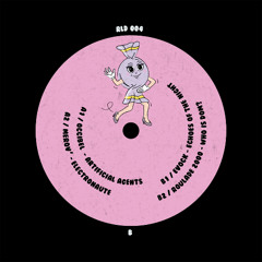 PREMIERE : Evock - Echoes Of The Night [Roulade Records]