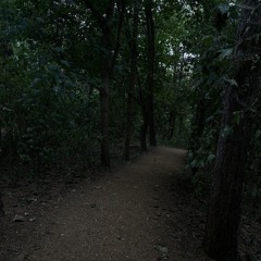 Walkwithme (feat. Savooo!) (Prodby. ro)