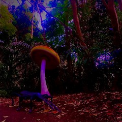 Night of Psychedelics