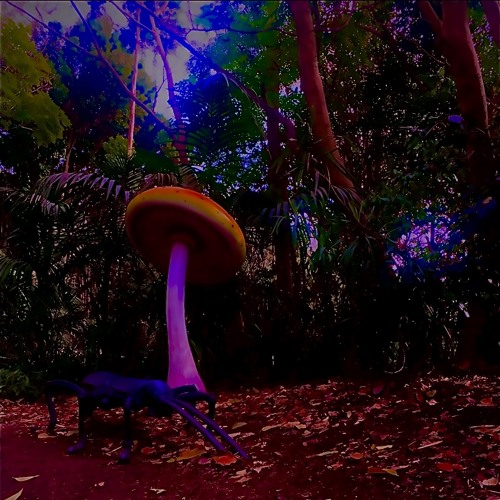 Night of Psychedelics