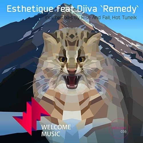 Esthetique & Djiva - Remedy (Hot Tuneik Remix)