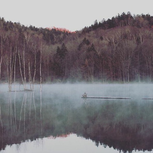Stream 紙一重 Demo By The Winey Bean Project Listen Online For Free On Soundcloud