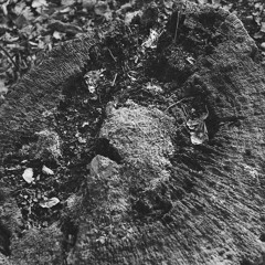 furryconvention2005 - 6fingerbrazilpunch (dj-tool)