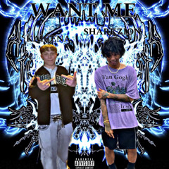 KAICENA - WANT ME FEAT. SHARKZION (PROD. CABBER)