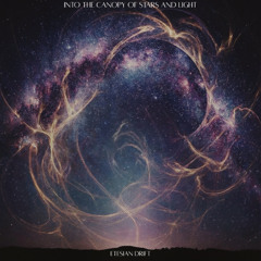 Into the Canopy of Stars and Light