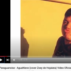 Paraguanoise Aguanieve Cover Zoey De Hojalata