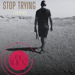 Stop Trying  |  Joe alice  |  Experience