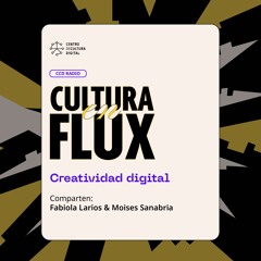 Cultura en Flux 5 Creatividad Digital