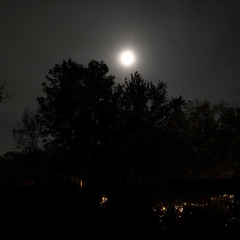 April Moon