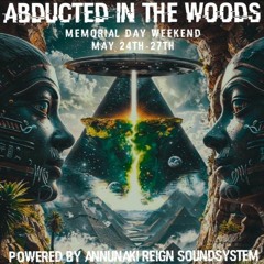 Abducted in the Woods Set