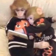 Смерть еврея - Swompi feat. Kovrita