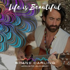Life Is Beautiful - Shane Carling - Acoustic Alchemy