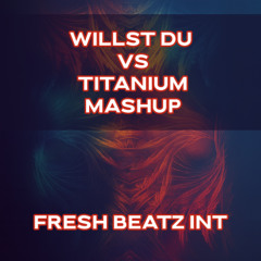 WILLST DU VS TITANIUM MASHUP