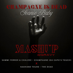 Sammi Ferrer x Chaleee x Da Capo x Nakhane Toure - Champagne Is Dead (Seanie Baby Mashup & Gravy)
