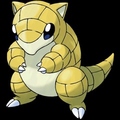 ARMADILLO?!