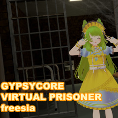 VIRTUAL PRISONER