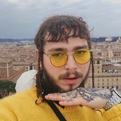 Post Malone - Sam Feldt (remix)