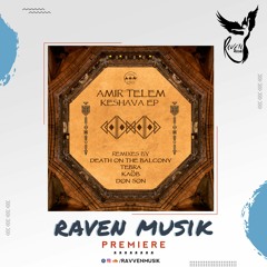 PREMIERE: Amir Telem - Keshava (Tebra Remix) [Camel Riders]