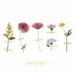 『ドライフラワー』 (Dried Flower, 드라이플라워) COVER (with 정정용)
