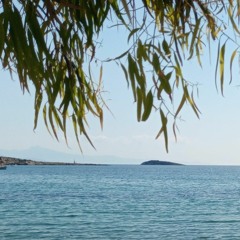 View from the office