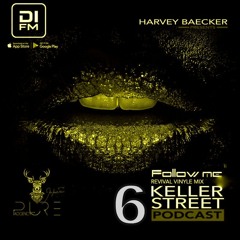 Keller Street Podcast After Follow Me Revival Vinyles part 6