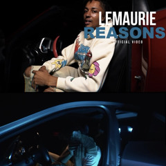 Lemaurie - reasons