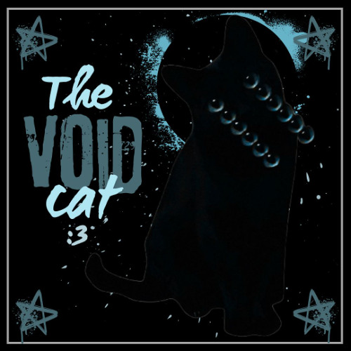 The Void Cat