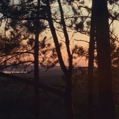 conversations / don’t