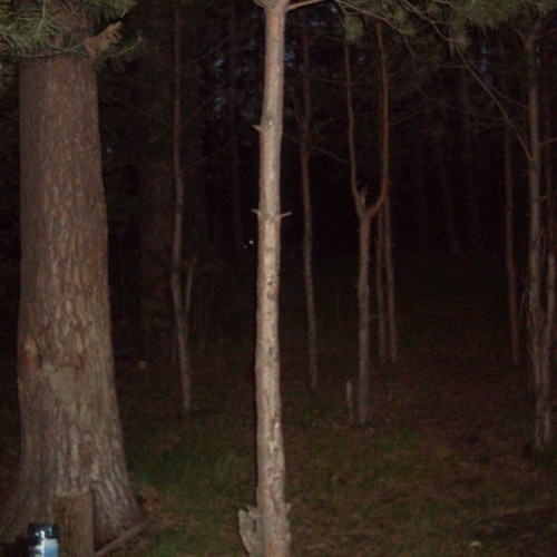 Волны безмятежья I