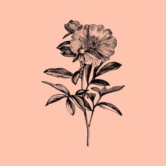 BOATSHIP [PROD. SXARRO]