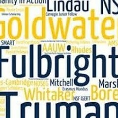 What is a fellowship and how to get one