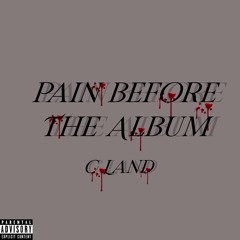 Pain Before The Album