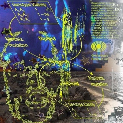 Dj Death rattle - PLASTICITY