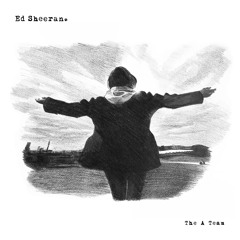 The A Team (Shy FX's Ackee and Saltfish Remix)