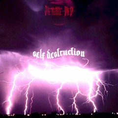 Self Destruction (Prod. Flower x 5head)