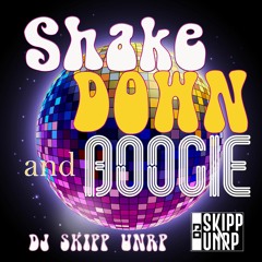 DJ SKIPP UNRP - Shake Down & Boogie (7inch Version)