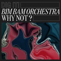Bim Bam Orchestra - Why Not ? (Dig It ! 022)
